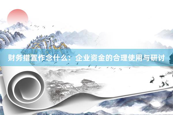 财务措置作念什么：企业资金的合理使用与研讨